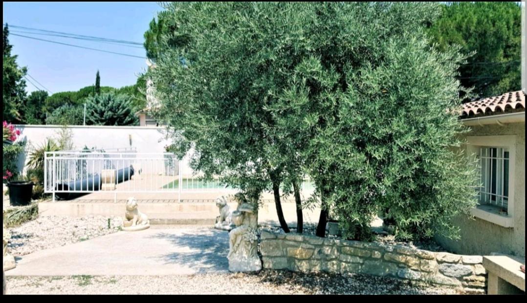 Suite Parentale Avec Petit Sejour Et Piscine Carpentras Exterior foto